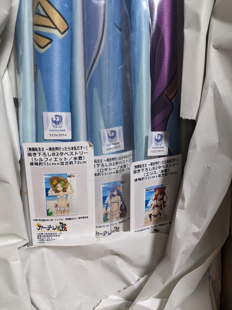 Amazon.co.jp: 無職転生タペストリー（ロキシー）（エリス）（シルフィ